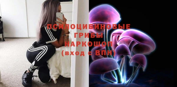spice Алексеевка