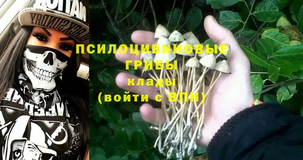 spice Алексеевка