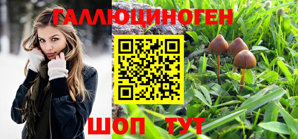 Псилоцибиновые грибы GOLDEN TEACHER Якутск